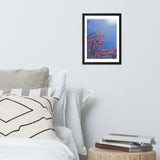 Pink Cherry Blossom Framed Photography Print