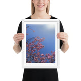 Pink Cherry Blossom Framed Photography Print
