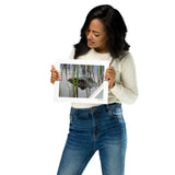Peeping Alligator, The Everglades, Florida, USA Photography Print